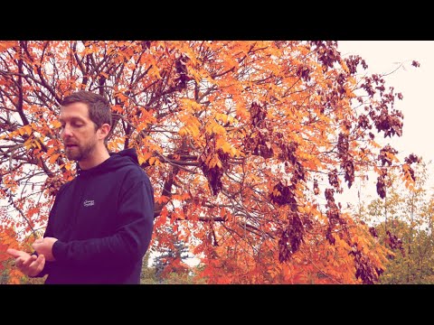 DÉSERT - NATHAN COUTURE (CLIP OFFICIEL)