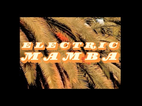 electric mamba - Zingo [Official Video]