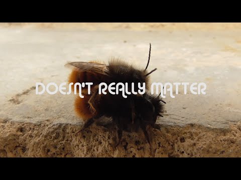 BARON'S - Doesn't Really Matter (Clip Officiel 2025)