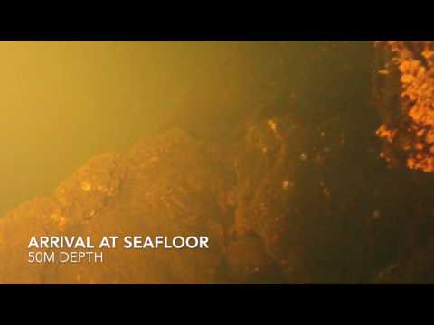 Kavachi: Take a look inside the crater of an active submarine volcano