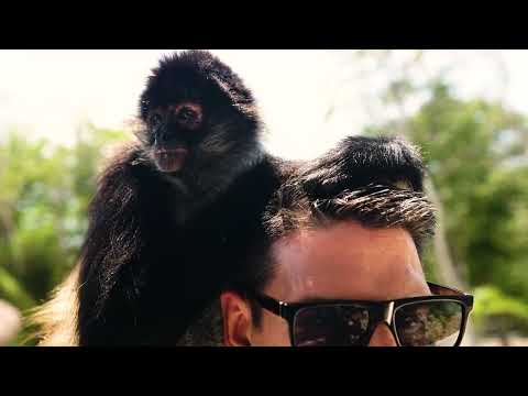 Paro - Brille (vidéo officiel)