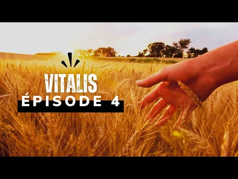 Life Minder - Vitalis | Episode 4 | Soundtrack | Musique cinéma/série