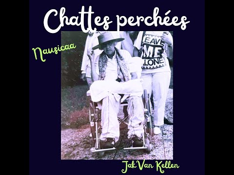Chattes perchées