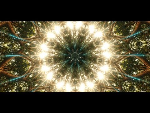 L'arbre de vie | CLIP #reggae #music #spiritualité