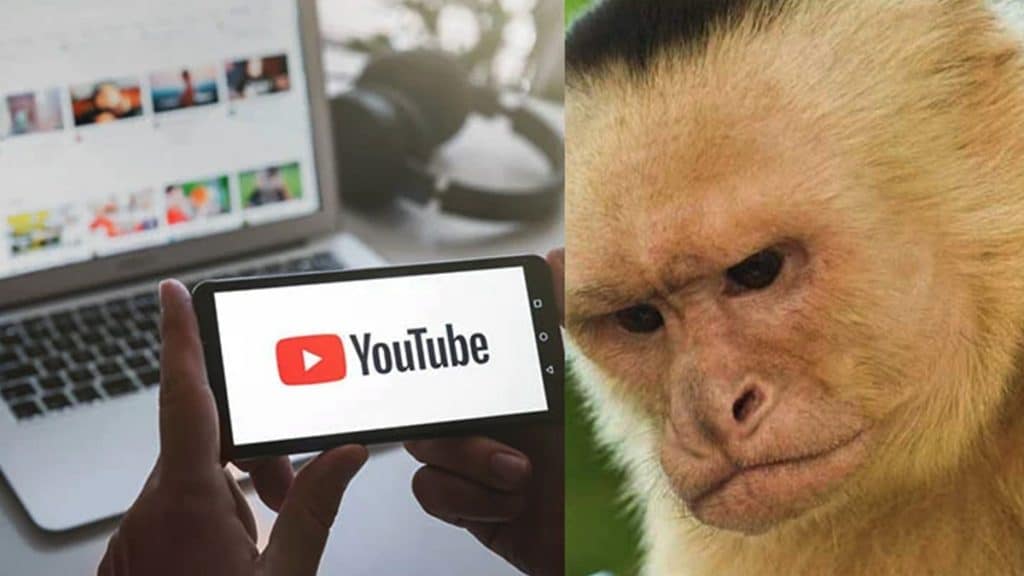 photo Pourquoi est-ce que je perds mes vues sur mes vidéos Youtube en 2022 ?