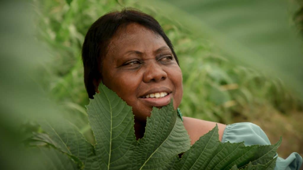 photo de GIGI est de retour avec son très beau FLEUV TRANKIL
