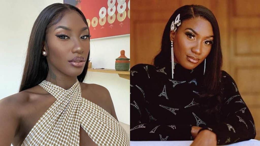 Photo de Aya Nakamura, une personnalité qui dérange ?