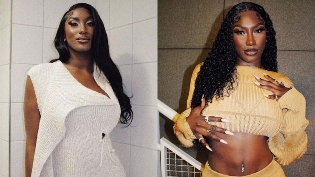 La fortune de Aya Nakamura : Est-elle si riche que ça ? Photo de La fortune de Aya Nakamura : Est-elle si riche que ça ?