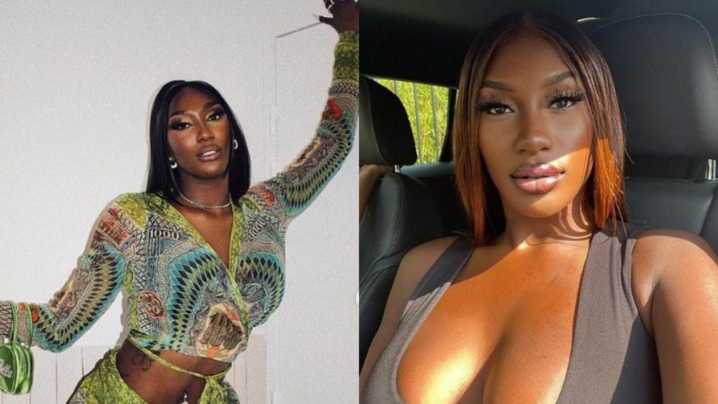 Photo de Aya Nakamura et sa tournée 2023, on vous donne toutes les infos...