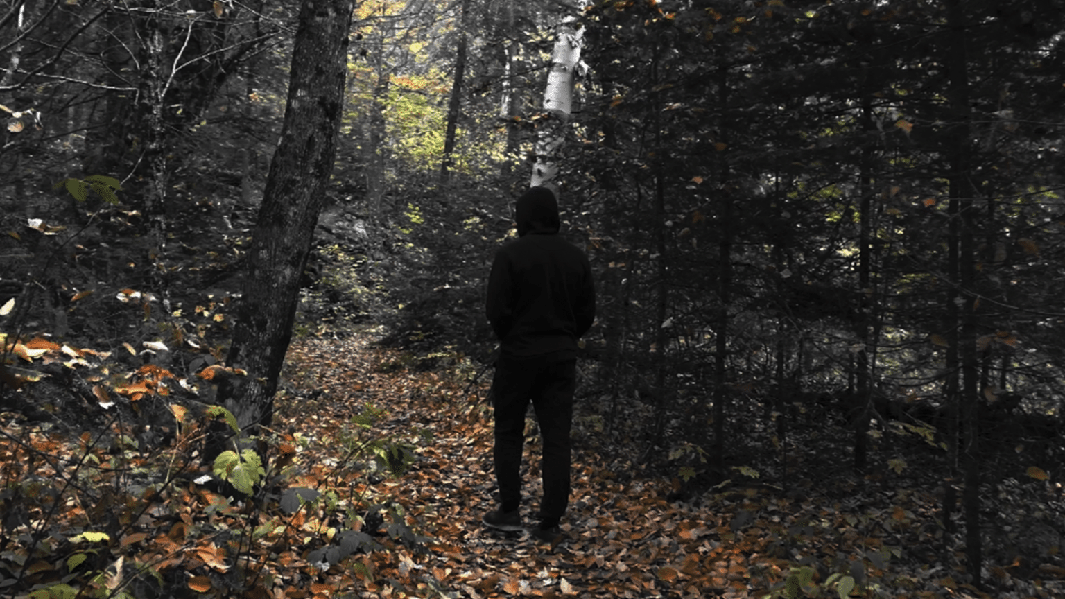 photo de IIL, en mode « Walk of fame » pour son nouveau clip