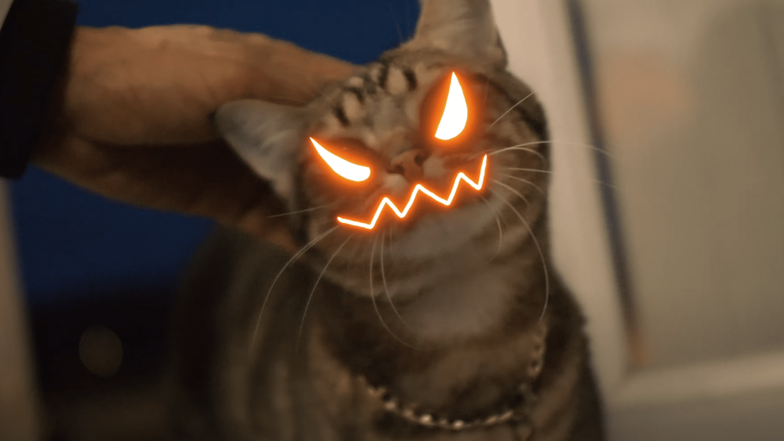 photo de T.L.T est de retour avec son « Ketama,Beldia,3X »