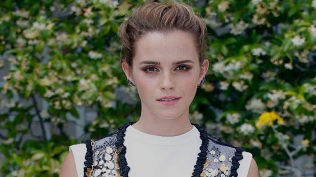 Photo de Qui est le copain d'Emma Watson ?