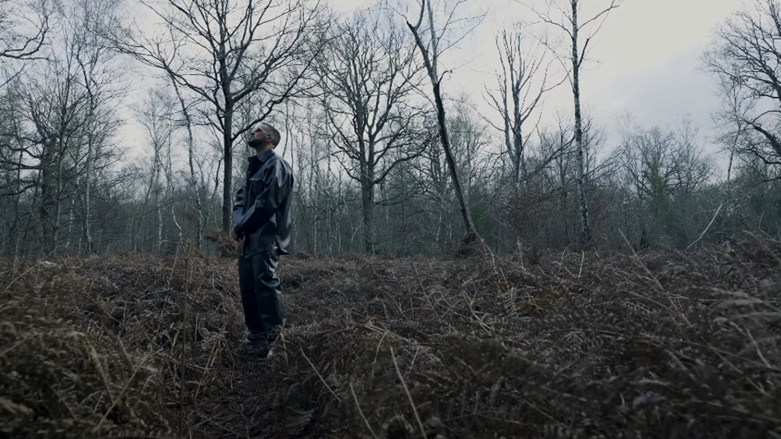 photo de Découvrez « Sonny », cette perle rare signée Nosta