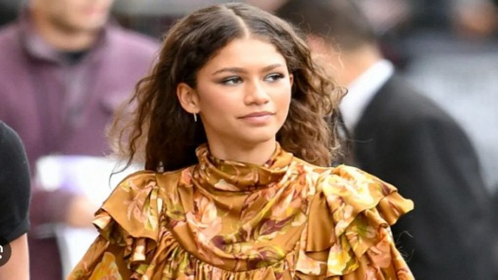 Photo de Quelle est la fortune de Zendaya ?