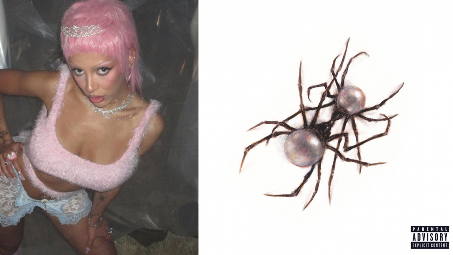 Photo de Doja Cat dévoile la signification de la pochette de son nouvel album « Scarlet ».