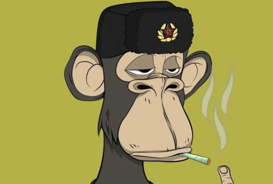 Photo de Découvrez « Le singe qui fume », le nouveau projet de Sauveur Eloheem