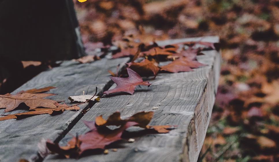 Photo de Venez vous assoir sur « Le banc » de MOOMAK
