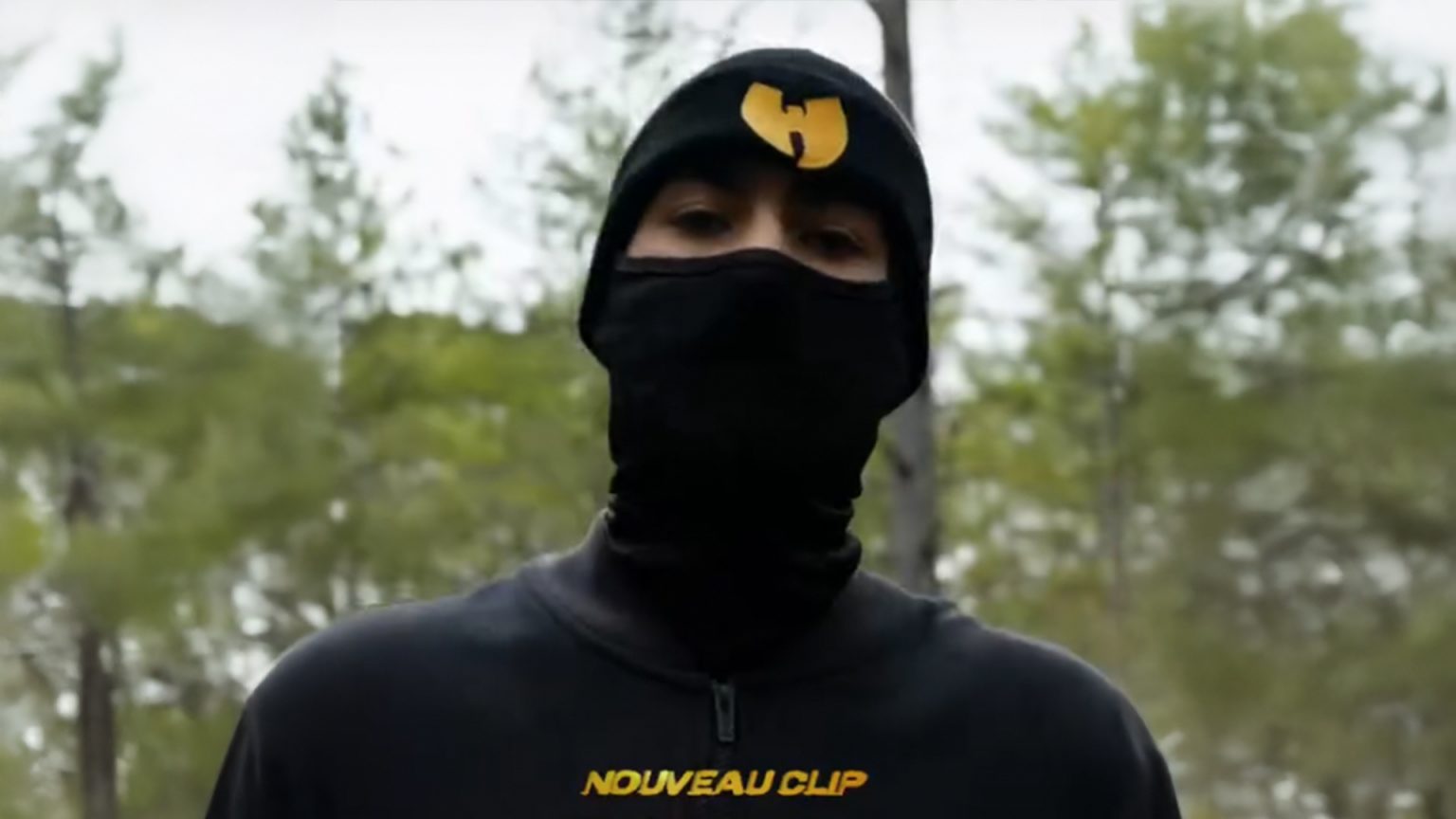 Photo de Huubz, surpuissant dans « Dragon Ball GT »