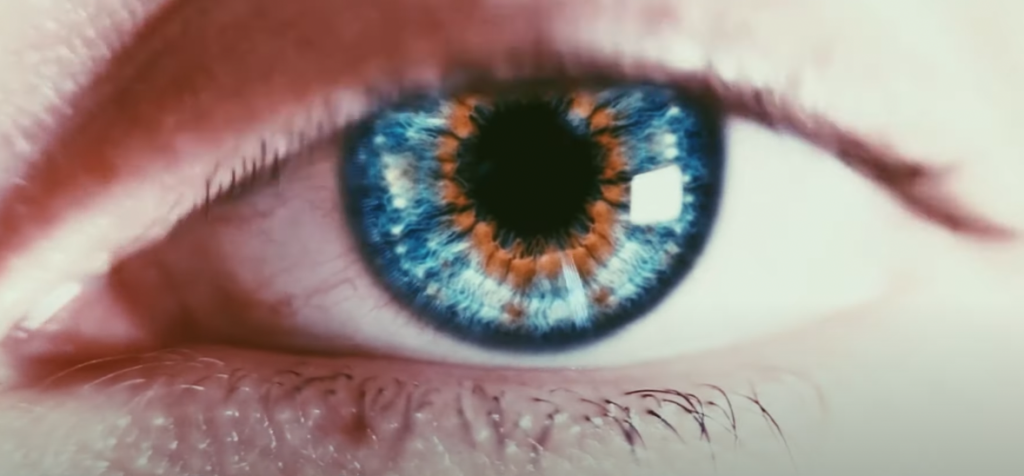 Life Minder nous offre un joli « Stimulus » pour bien commencer l’année 2025 Photo de Life Minder nous offre un joli « Stimulus » pour bien commencer l'année 2025