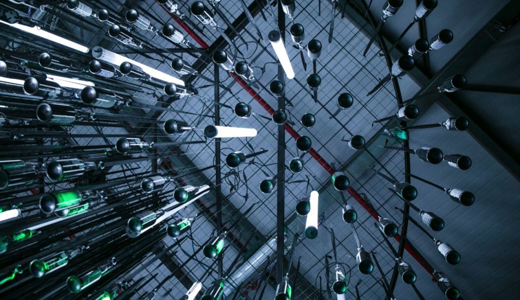 Entre mer et pixels : la Côte d’Azur à l’heure du divertissement digital