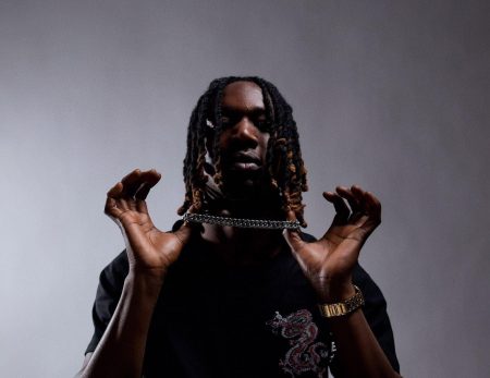 King D monte de palier avec « Freestyle Level Up »